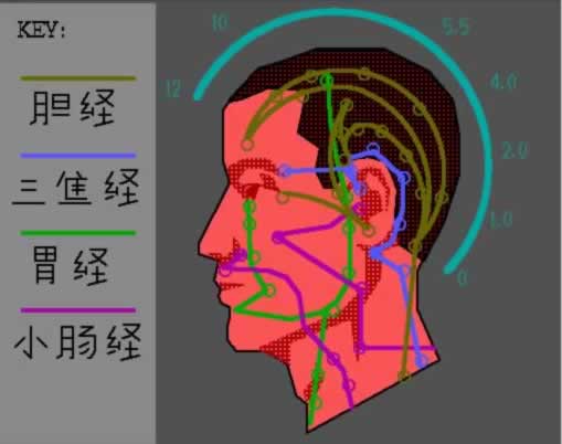 Acupuncture pressure points